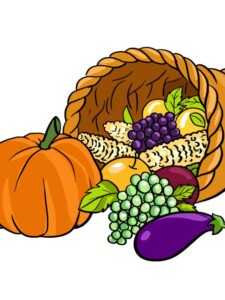 Cornucopia drawing tutorial - web story - complete