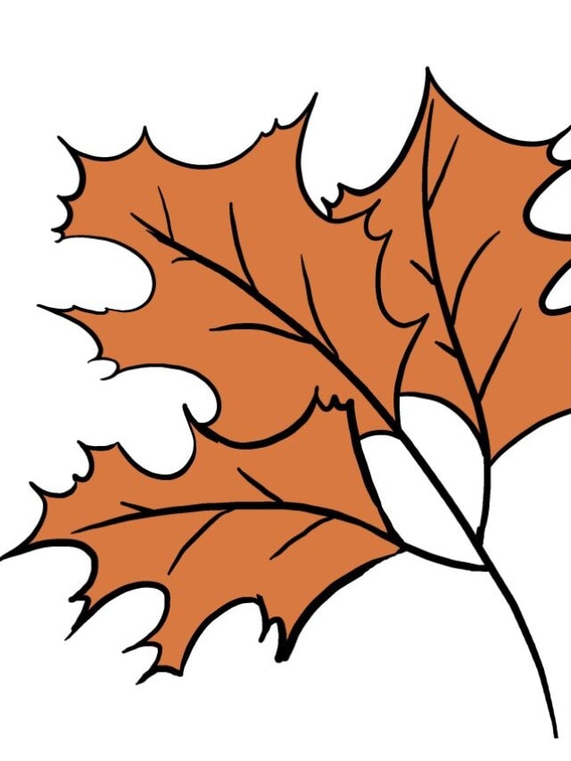 Fall Oak Leaves drawing tutorial - web story - complete