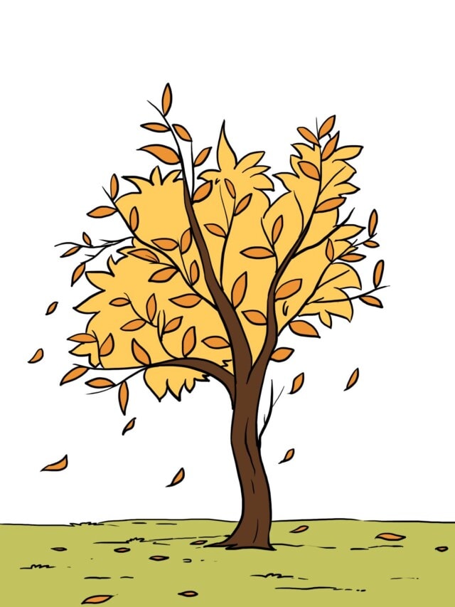 Fall Tree drawing tutorial - web story - complete