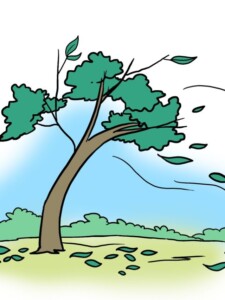 Falling Leaves drawing tutorial - web story - complete