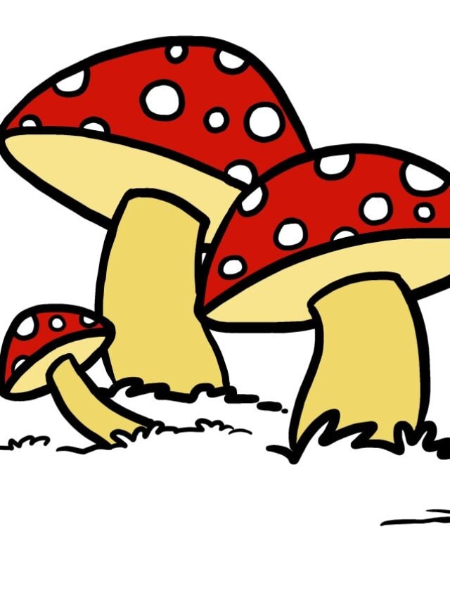 Mushroom drawing tutorial - web story - complete