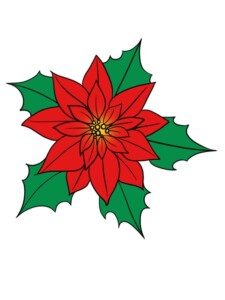 Poinsettia drawing tutorial - web story - complete