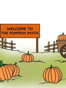 Pumpkin Patch drawing tutorial - web story - complete