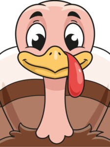 Turkey Face drawing tutorial - web story - complete
