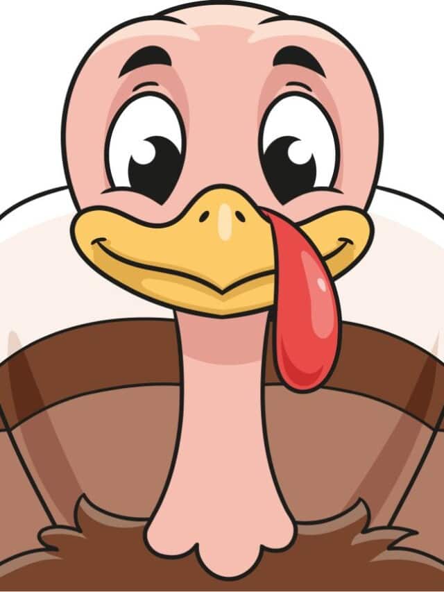 Turkey Face drawing tutorial - web story - complete