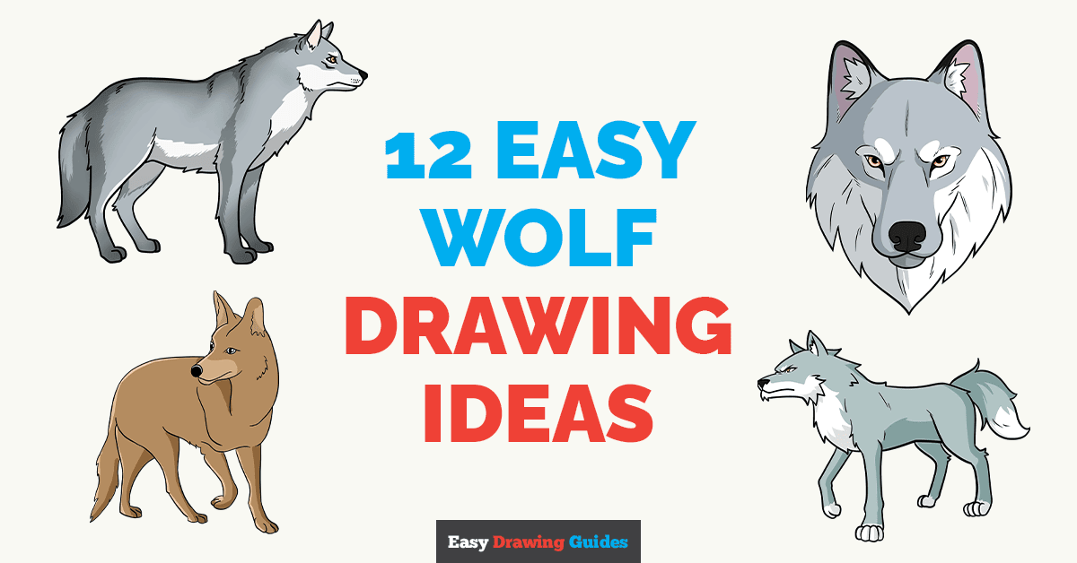 11 Easy Wolf Drawing Tutorials for Kids Featured Image