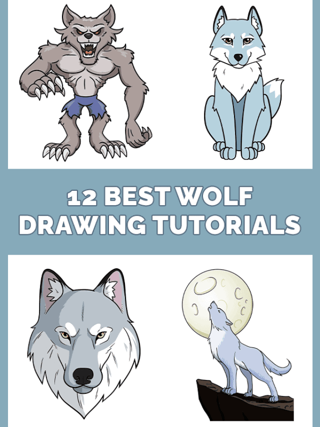 12 Best Wolf Drawing Tutorials Pinterest Image