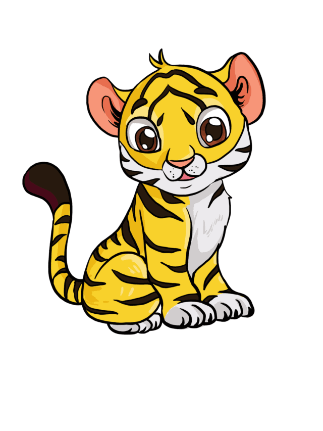 Baby Tiger drawing tutorial - web story - complete