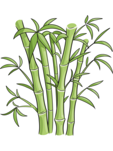 Bamboo drawing tutorial - web story - complete