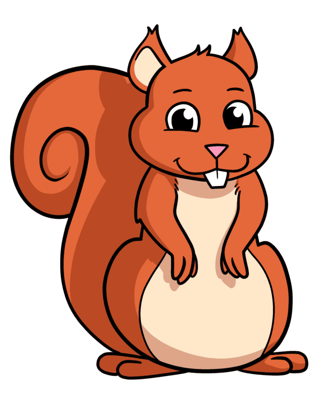 Cartoon Squirrel drawing tutorial - web story - complete