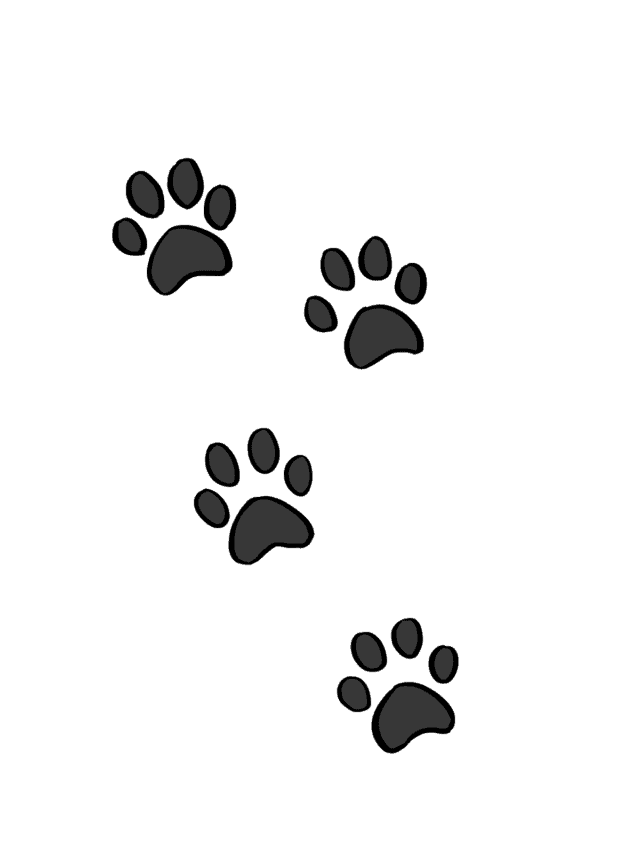 Cat Paw Print drawing tutorial - web story - complete