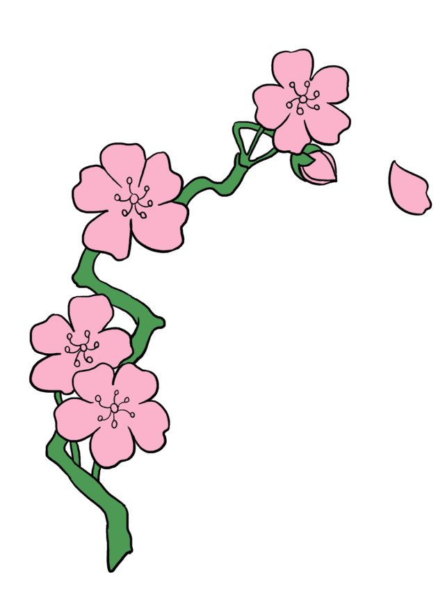 Cherry Blossom drawing tutorial - web story - complete