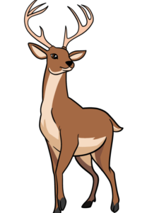Deer drawing tutorial - web story - complete
