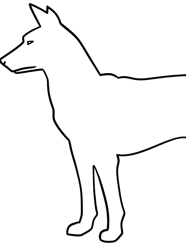 Dog Outline drawing tutorial - web story - complete