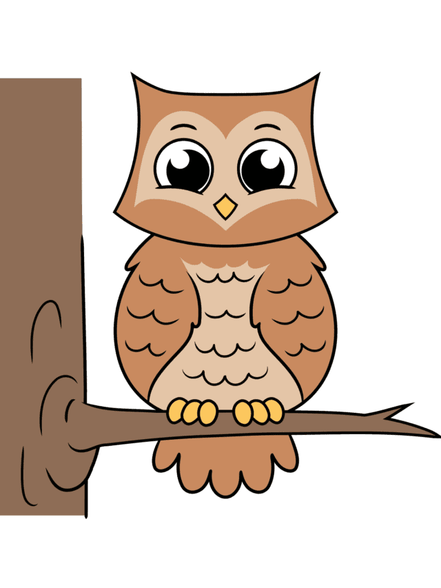 Easy Cartoon Owl drawing tutorial - web story - complete
