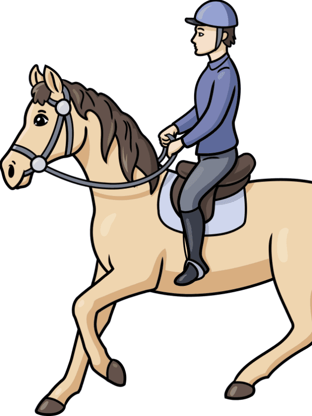 Horse Rider drawing tutorial - web story - complete