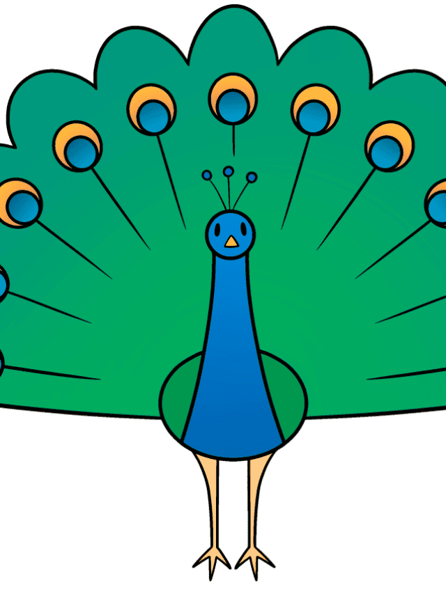 Peacock drawing tutorial - web story - complete
