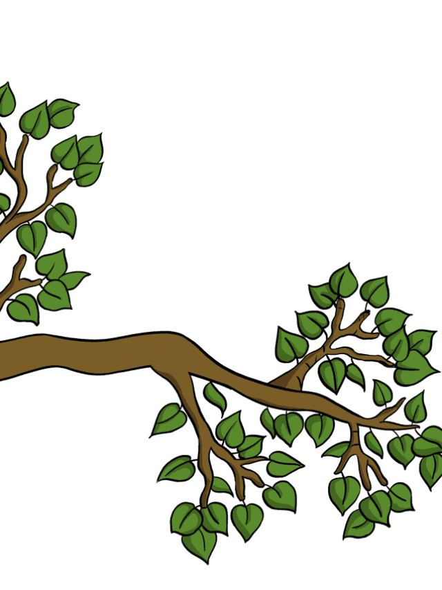 Tree Branch drawing tutorial - web story - complete
