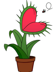 Venus Flytrap drawing tutorial - web story - complete