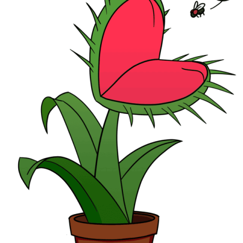 Venus Flytrap drawing tutorial - web story - complete