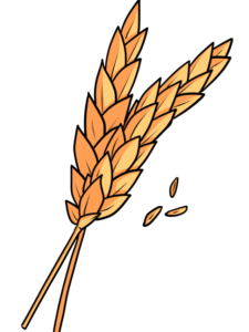 Wheat drawing tutorial - web story - complete