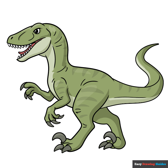 Velociraptor Drawing