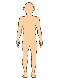 Buddha - web story - complete