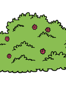 Bush drawing tutorial - web story - complete