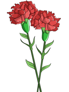 Carnation drawing tutorial - web story - complete