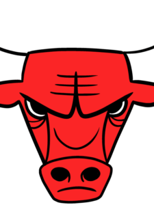 Chicago Bulls Logo - web story - complete