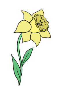 Daffodil drawing tutorial - web story - complete