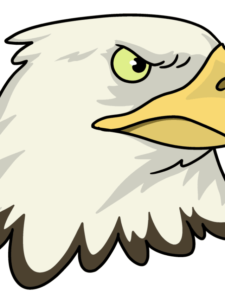 Eagle Head drawing tutorial - web story - complete