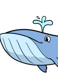 Easy Whale - web story - complete