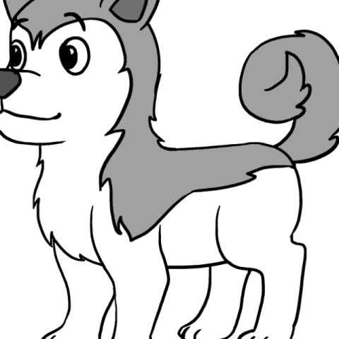 Husky drawing tutorial - web story - complete