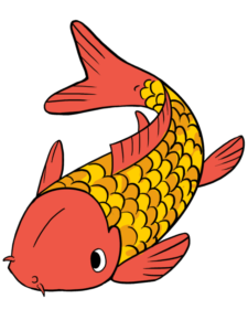 Koi Fish - web story - complete