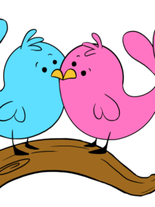 Love Birds drawing tutorial - web story - complete