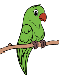 Parrot - web story - step 0