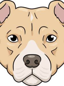 Pitbull Face - web story - complete