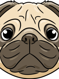 Pug Face drawing tutorial - web story - complete