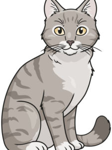 Realistic Cat Drawing - web story - complete