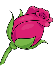 Rose Bud drawing tutorial - web story - complete