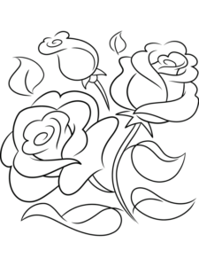 Rose Outline - web story - complete