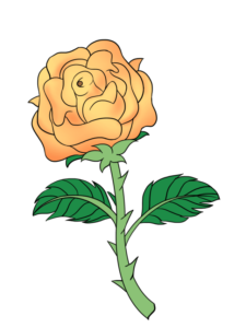 Cropped Rose with Stem -Web Story -complete