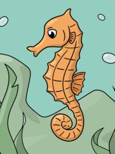 Seahorse - web story - complete