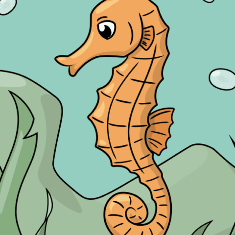 Seahorse - web story - complete