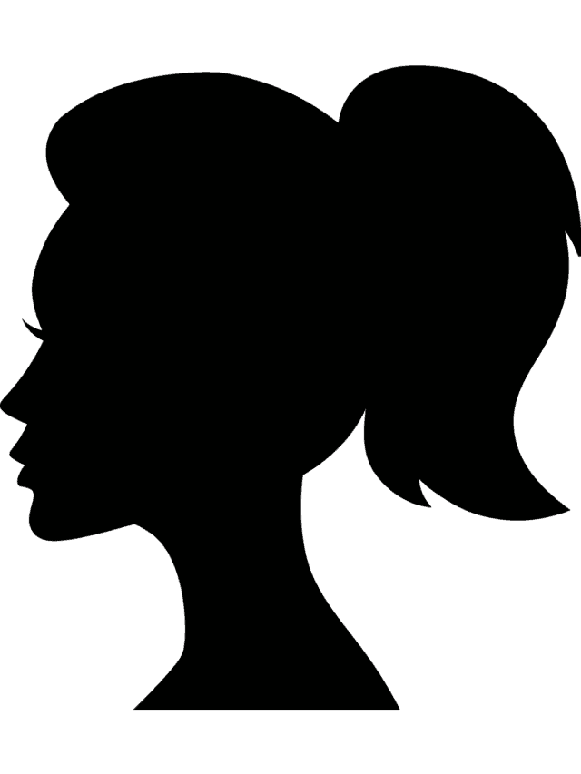 Silhouette - web story - complete