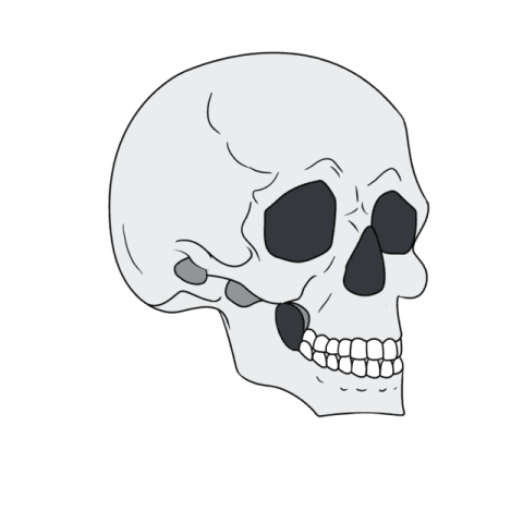 Skull in 3/4 View drawing tutorial - web story - complete