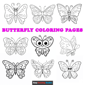 Free printable butterfly coloring sheets - featured image