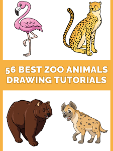 56 Best Zoo Animals Drawing Tutorials Pinterest Image