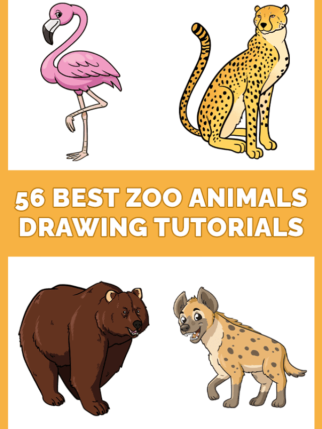 56 Best Zoo Animals Drawing Tutorials Pinterest Image
